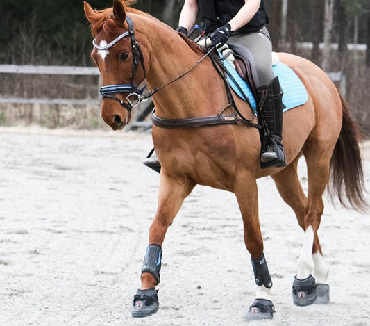 All Terrains ULTRA Equine Fusion - Hoof Boots Equine Fusion