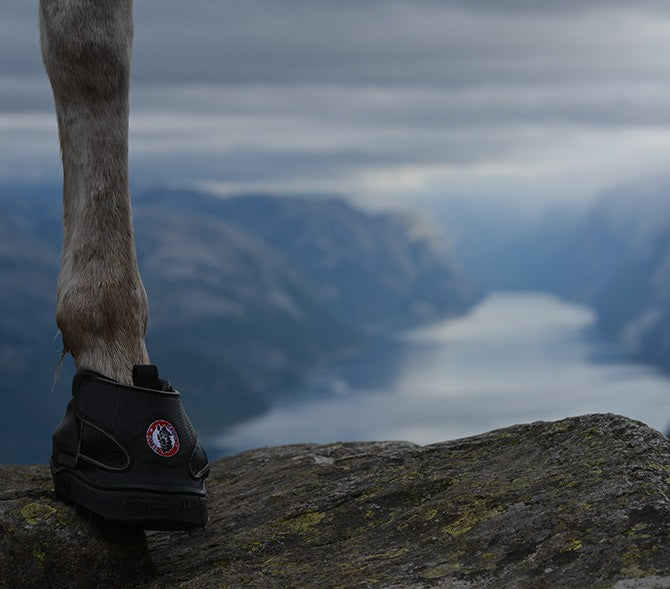 All Terrains  Equine Fusion - Hoof boots Equine Fusion