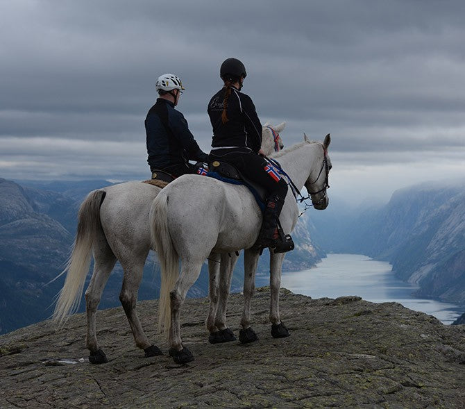 All Terrains  Equine Fusion - Hoof boots Equine Fusion