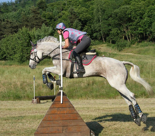 All Terrains  Equine Fusion - Hoof boots Equine Fusion