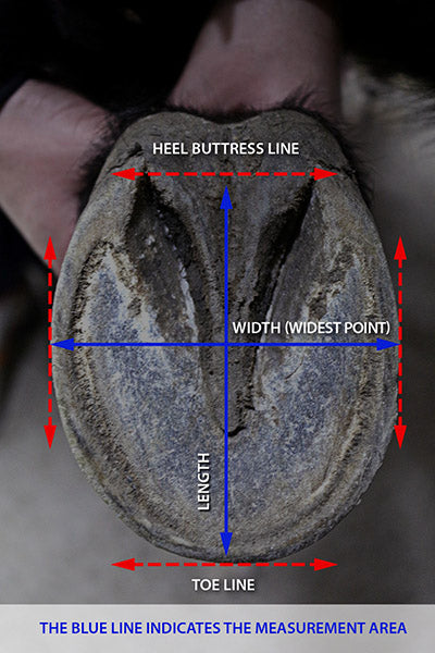 All Terrains  Equine Fusion - Hoof boots Equine Fusion